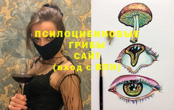 гидропоника Гусев